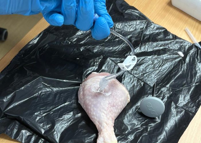 WhatsApp Image 2026-02-17 at 09.24.10 (4)