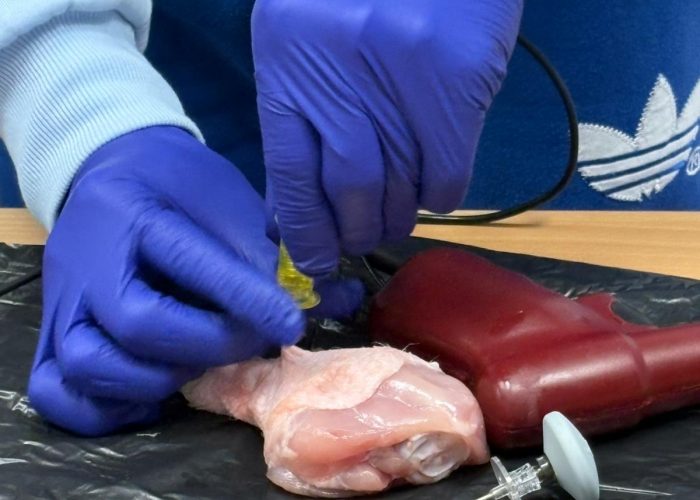 WhatsApp Image 2026-02-17 at 09.24.10